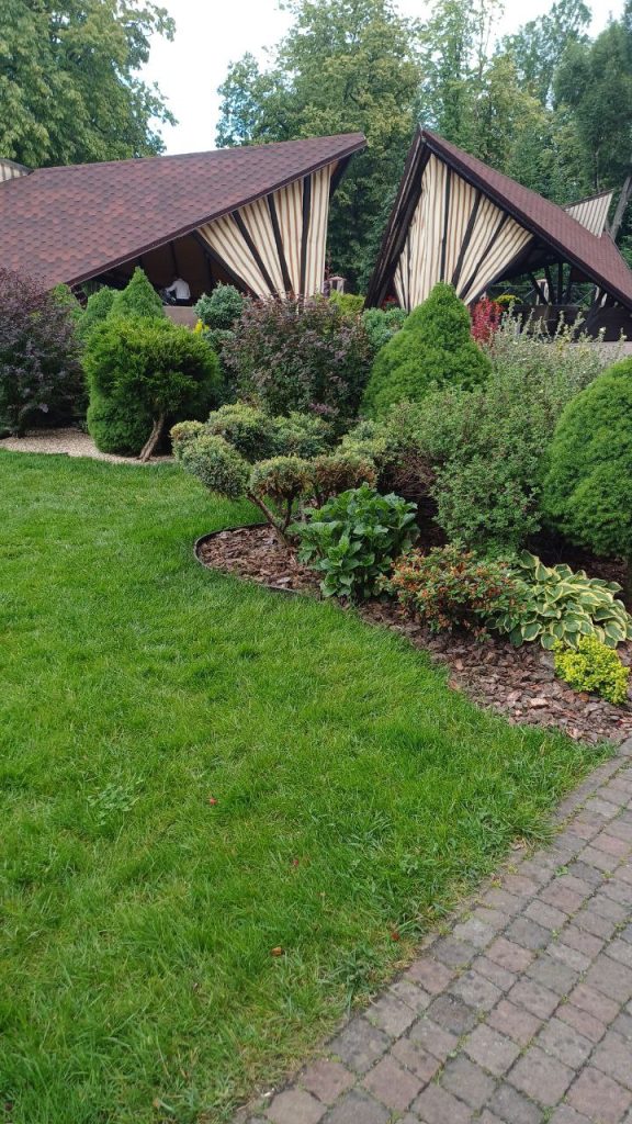 photo_8_2024-06-19_13-31-57